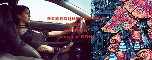 spice Алексин