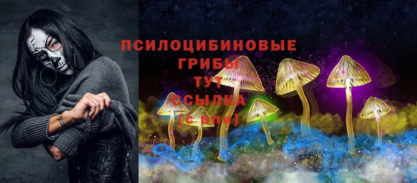 spice Алексин