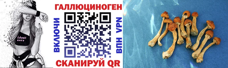 сайты даркнета Telegram  Сасово  Псилоцибиновые грибы мухоморы 